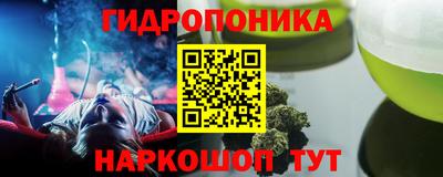стаф Бугуруслан