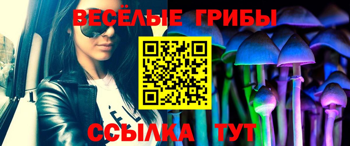 Галлюциногенные грибы Psilocybine cubensis  Вход с VPN  Оренбург  Галлюциногенные грибы GOLDEN TEACHER 