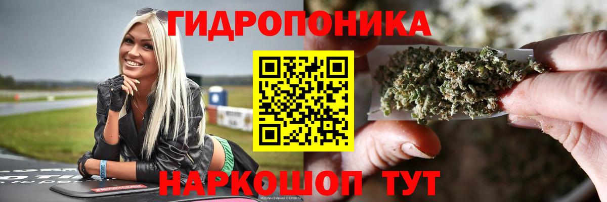 Бошки марихуана гибрид  Вход с VPN  Конопля VHQ  Оренбург  Канабис марихуана 